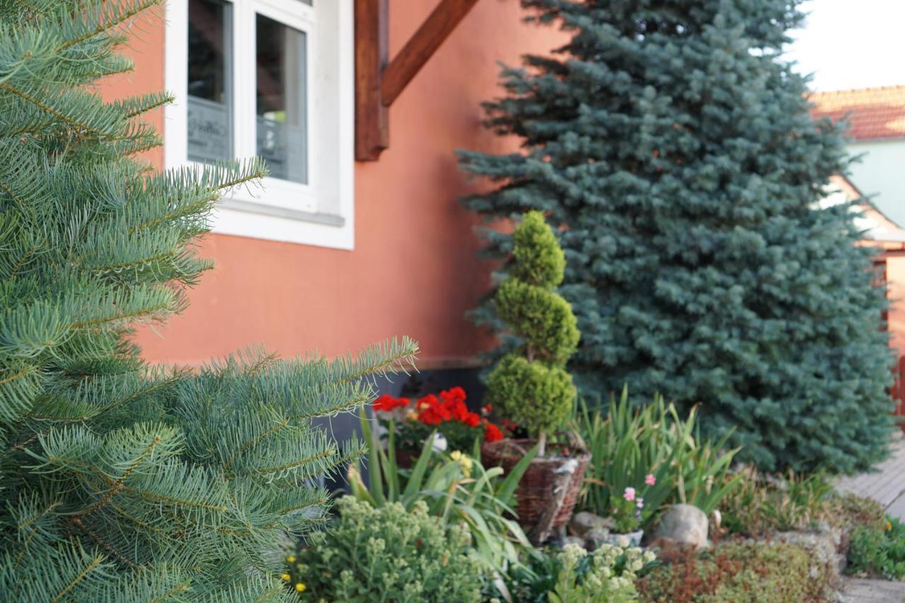Ferienwohnung Midgard Im Sagenharz - Family-Apartment, 2 Sz & Wlan Thale Exterior foto